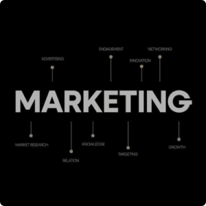 Digital Marketing Freelancer Indore helping businesses grow online